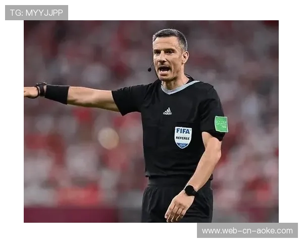 欧足联启动青少年欧冠计划，培养下一代裁判